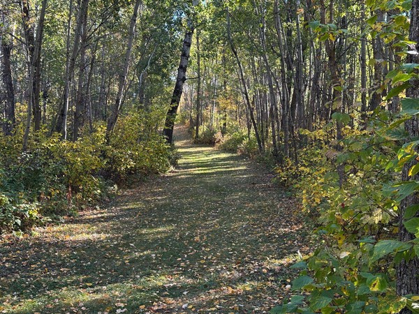 Scattered leaves on the trail show signs of fall