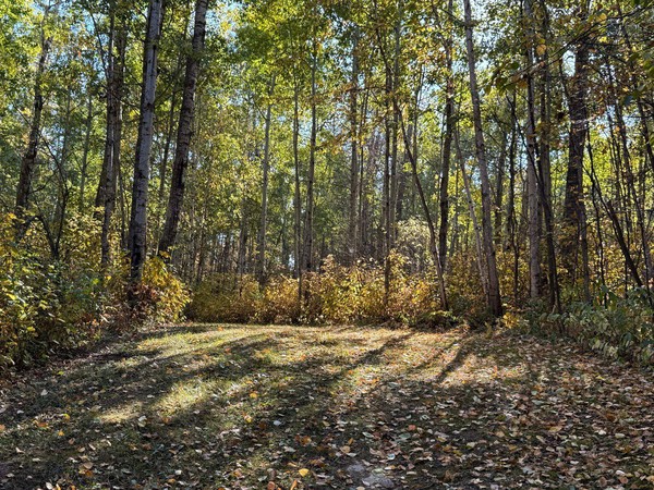 Light beckons from above