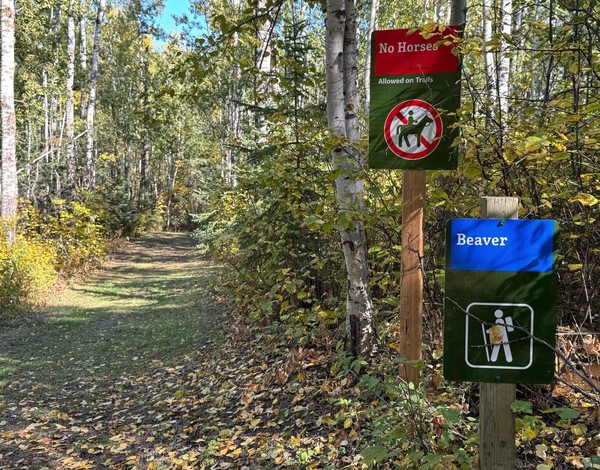 Making the turn onto Beaver Trail