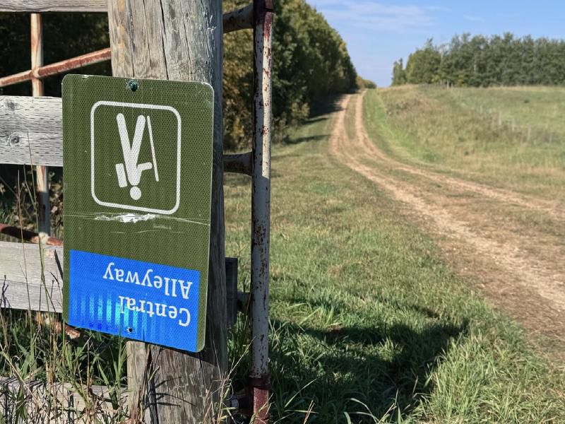 Despite what the sign commanded, I refused to walk on my head