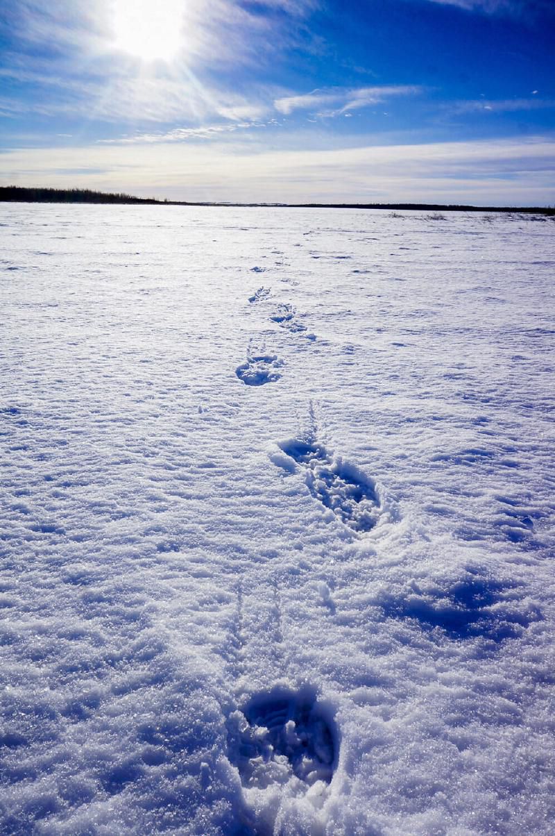 My footprints on the windswept snow on the ice.