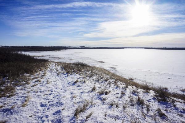 All the Diamonds in This World