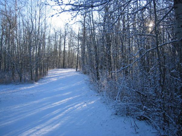 Blackfoot Geocaching (Waskahegan)