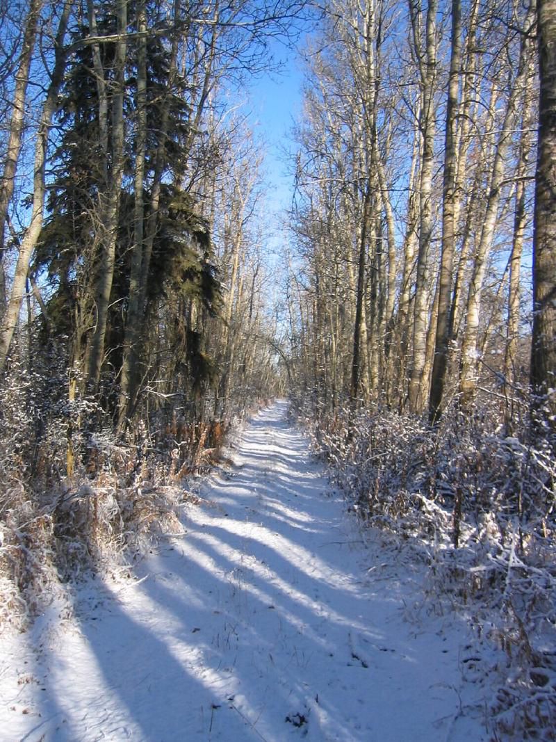 A neat corridor to follow from the parking spot.