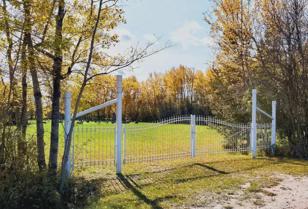 Bluejay - Charron Community Cemetery