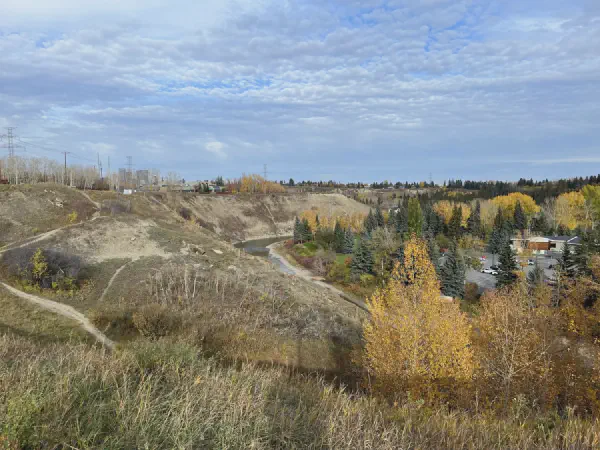 Geocaching in Calgary for Specific Caches