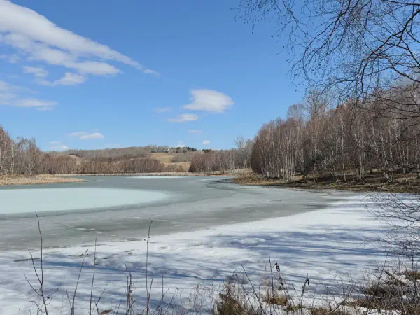 Chickakoo Hike With Geocaching Buddies
