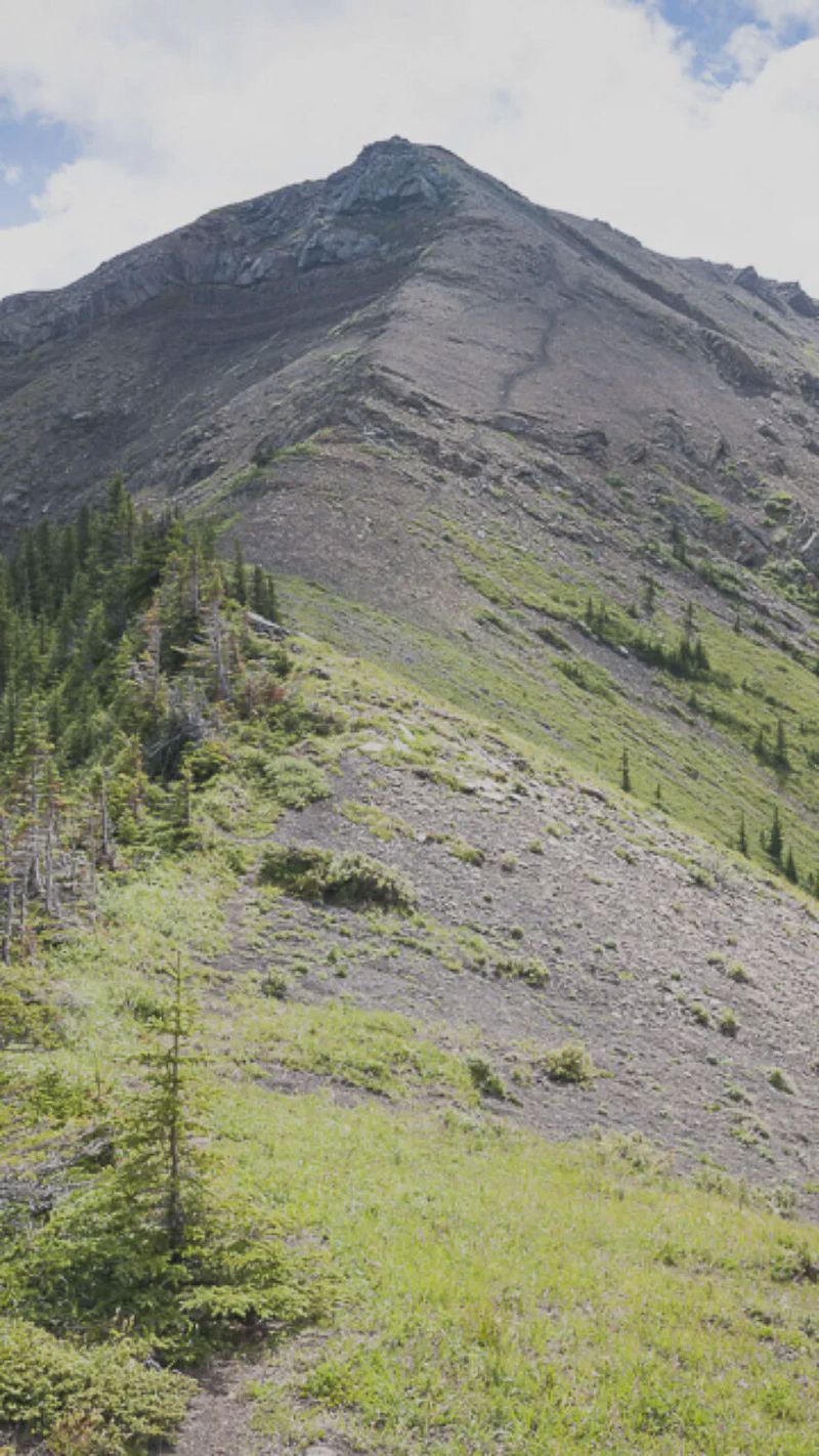 The summit in sight