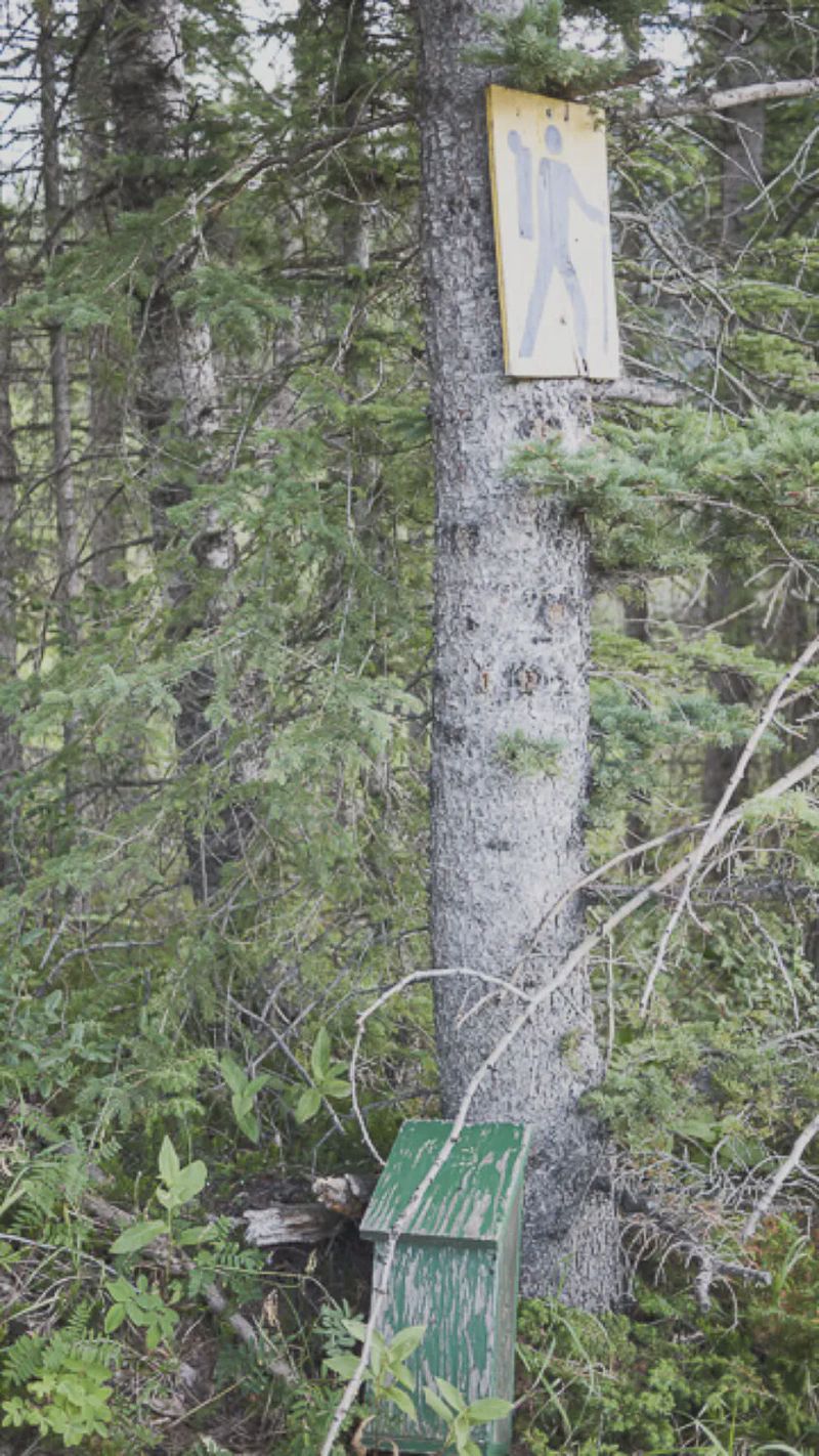 The trailhead sign.