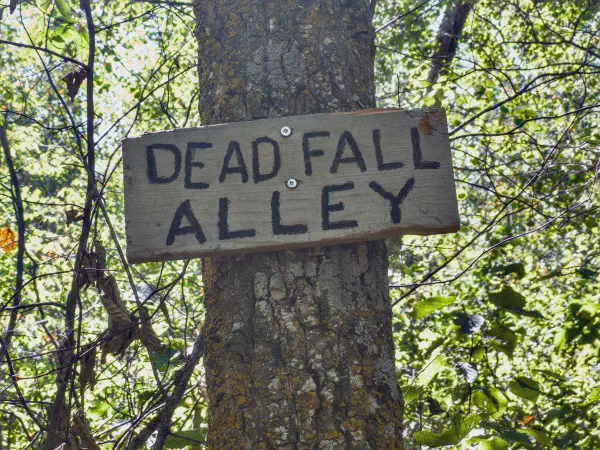 Ministik Loop Hike From Deadfall Alley to the UofA Road