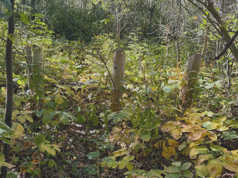 Ahh! I'd reached to the U of A Access Road