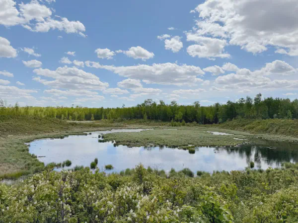 Finding a Fairly Remote Cache South of Mandy Lake