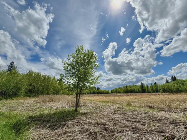 Ministik Five Meadows to Waskahegan Loop Hike