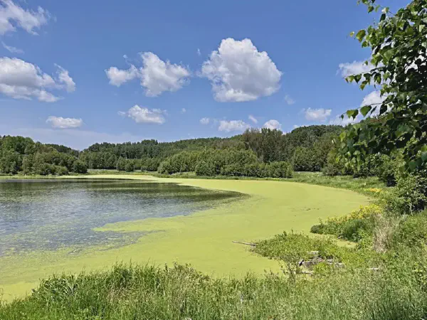 Glory Hills Geocaching Hike