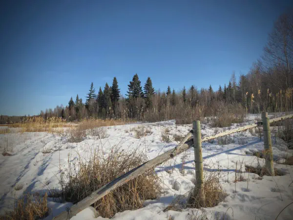 Hike to Oliver Lake to Find Two New Geocaches