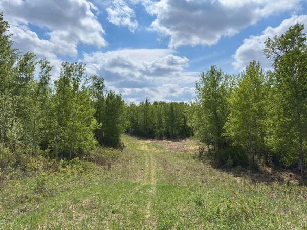 Joseph Lake Loop Hike