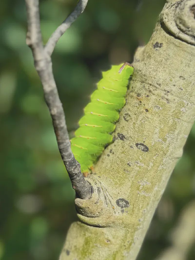 We found this little guy while looking for a cache