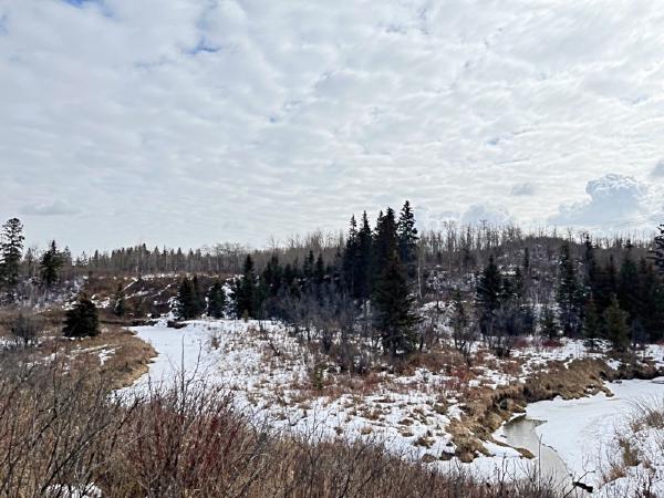 Mactaggart Geocaching Hike