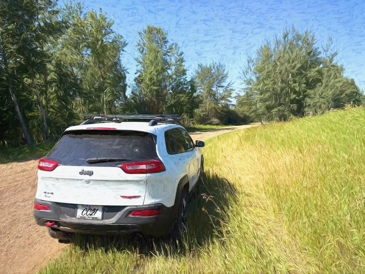 The car parked at the side of the road along which the geocache series was hidden. This picture has been given a painterly look.