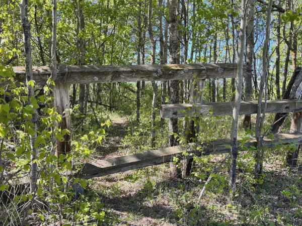 Ministik Geocaching Hike to New Hides