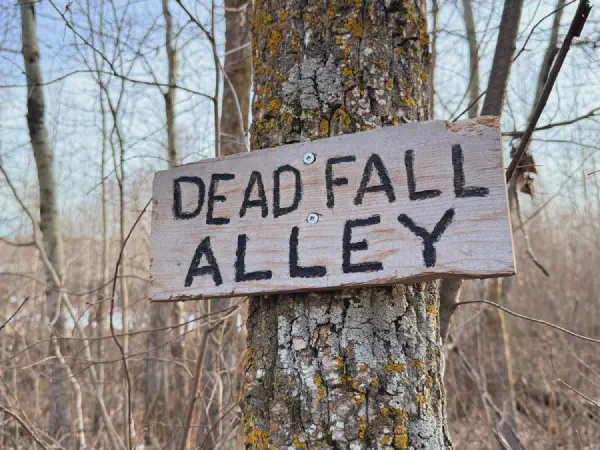 Ministik Hike Along Deadfall Alley