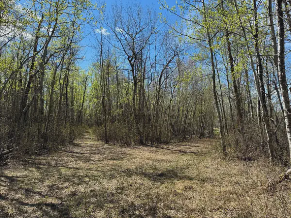 Ministik Hike Near Joseph Lake