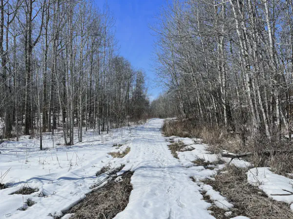 Ministik Mandy Lake Hike Over Snowy Trails