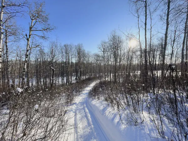 Ministik Hike to Dorward Lake for Two Remote Geocaches