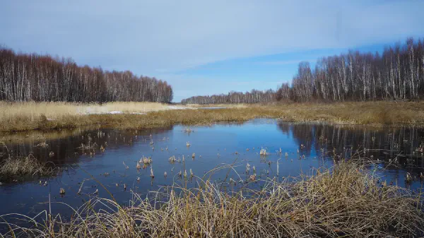 Ministik Geocaching Hike to the South End of Oliver Lake