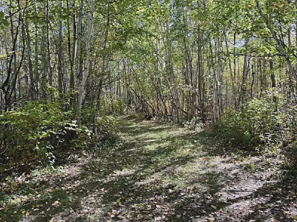 Ministik Hike to Spruce Point Geocache