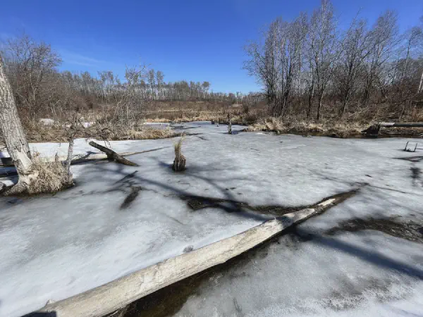 Ministik Mandy Lake Loop Hike