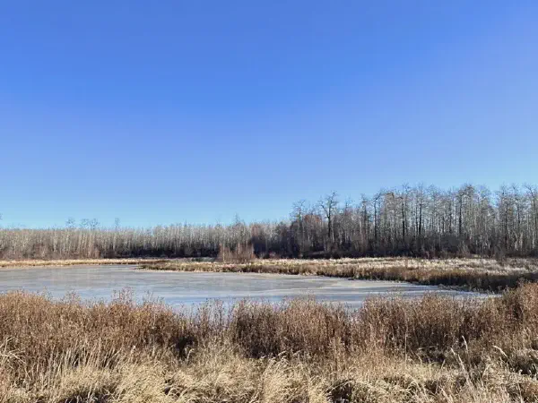 Ministik Misasin Trail Geocaching Hike