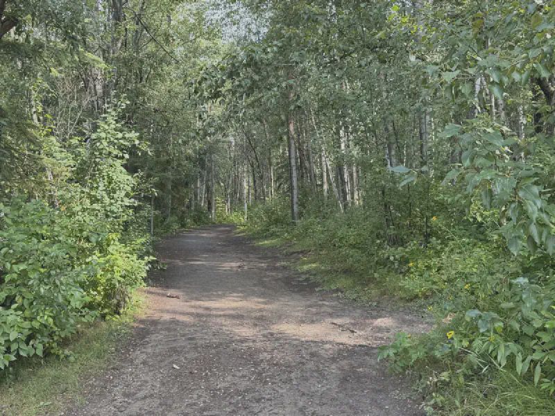 One obligatory trail picture to offer an idea of what most trails looked like today.