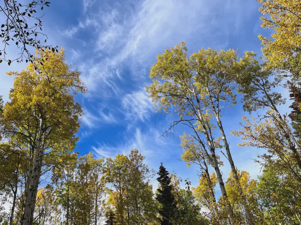 Running of the Bulls