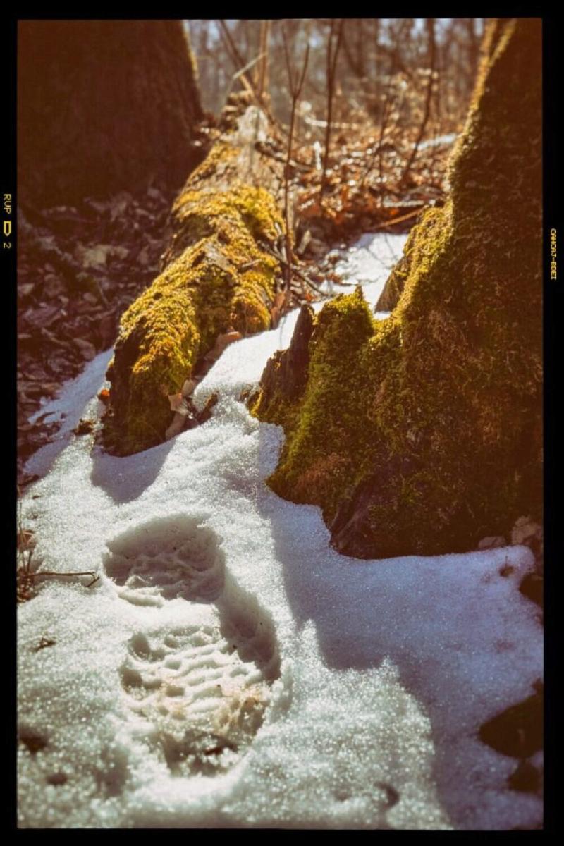 A stylized picture of my boot print in the snow.