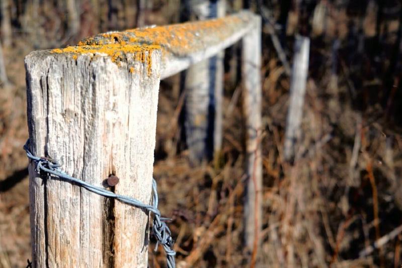 An old gate, gradually returning to the ground.