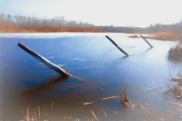 Searching for Spring Along the Road to Mandy Lake