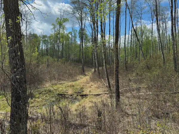Walking a Mostly Forgotten Trail Off Spilstead Road