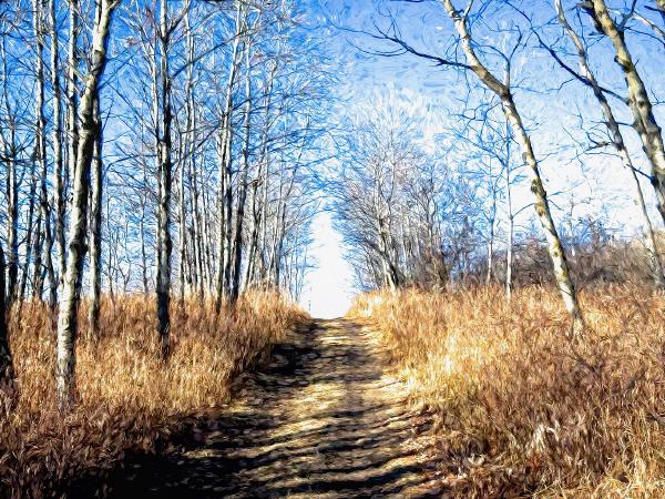 Wandewing Awound Wetaskiwin