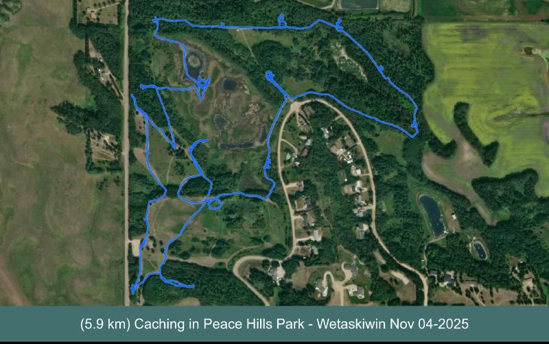 My Wandering Track Today