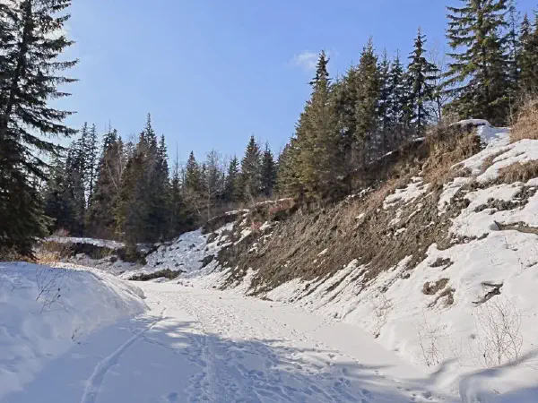 Whitemud Ravine Geocaching Hike