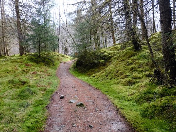 West Highland Way - Day 4 - Ardlui to Tyndrum
