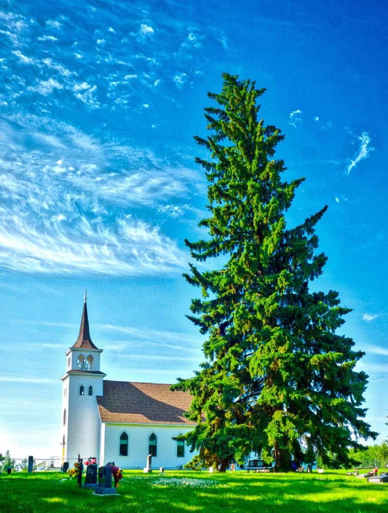 Wilhelmina Evangelical Lutheran Church near Hay Lakes, AB